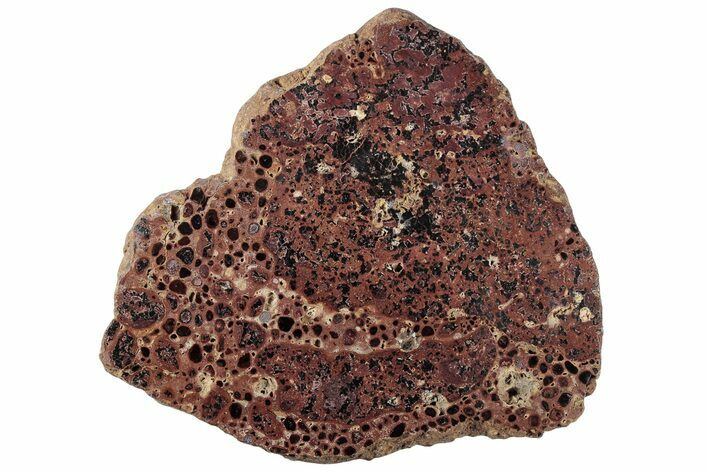 Polished Bauxite (Aluminum Ore) Slab - Australia #221485